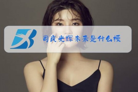 司岚光辉未来是什么梗
