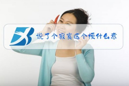 说了个寂寞这个梗什么意思