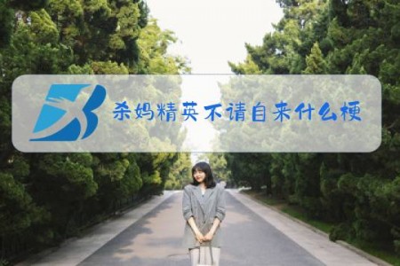 杀妈精英不请自来什么梗