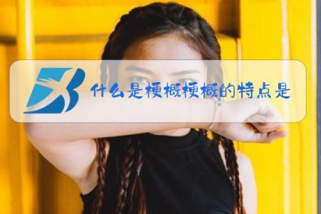 什么是梗概梗概的特点是什么