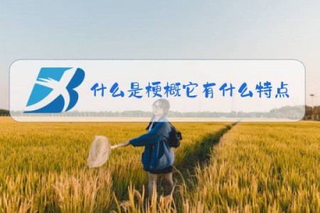 什么是梗概它有什么特点