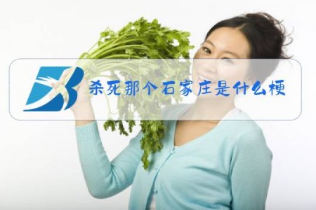 杀死那个石家庄是什么梗