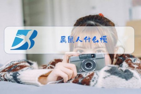 属鼠人什么梗