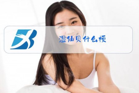 湿仙贝什么梗
