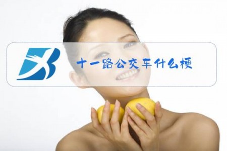 十一路公交车什么梗