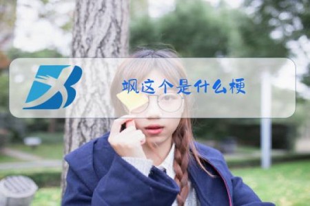 飒这个是什么梗