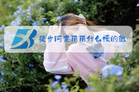 徒步阿龙丽丽什么梗的微博号