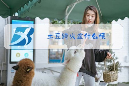 土豆跨火盆什么梗