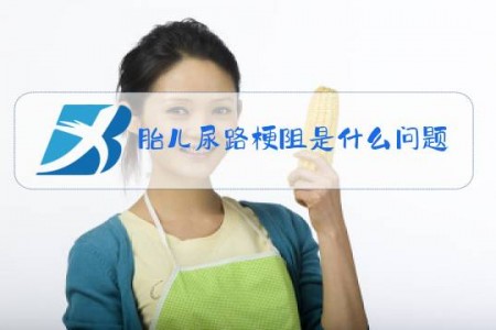 胎儿尿路梗阻是什么问题