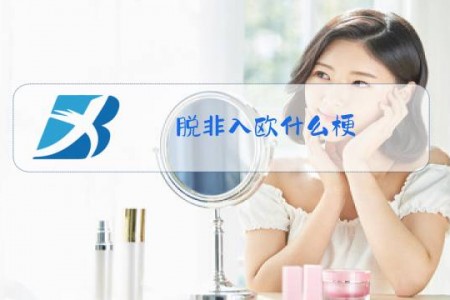 脱非入欧什么梗
