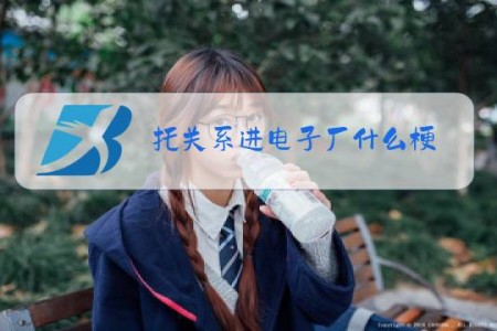 托关系进电子厂什么梗