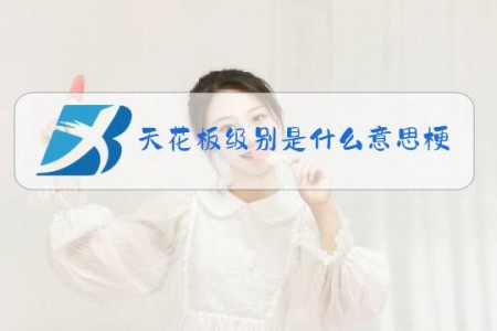天花板级别是什么意思梗