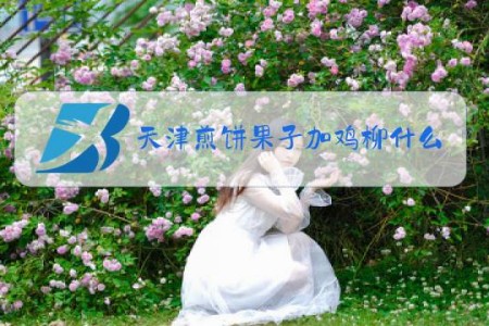 天津煎饼果子加鸡柳什么梗