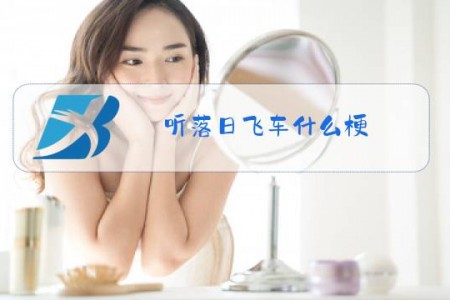 听落日飞车什么梗