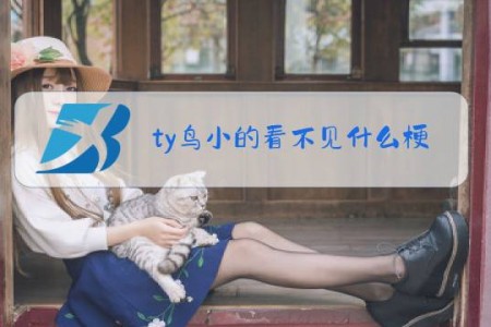 ty鸟小的看不见什么梗