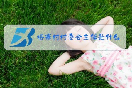 塔寨村村委会主任是什么梗