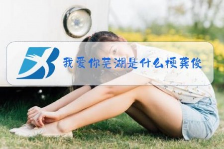我爱你芜湖是什么梗龚俊