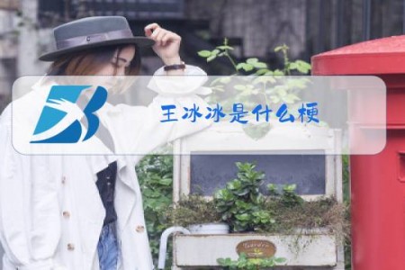 王冰冰是什么梗