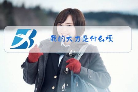 我的大力是什么梗