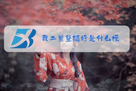 我二舅整挺好是什么梗