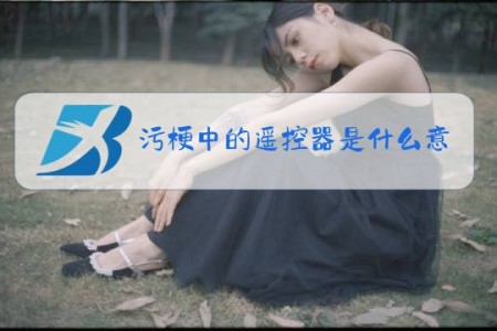 污梗中的遥控器是什么意思