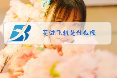 芜湖飞机是什么梗