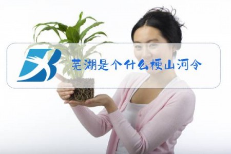 芜湖是个什么梗山河令