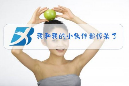 我和我的小伙伴都惊呆了是什么梗