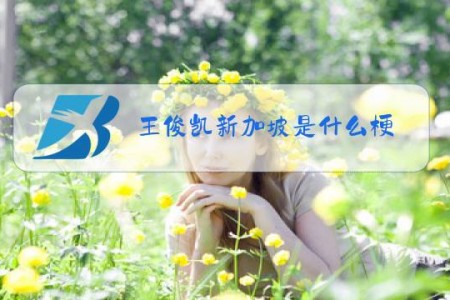 王俊凯新加坡是什么梗