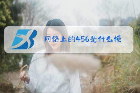 网络上的456是什么梗