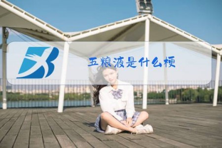 五粮液是什么梗