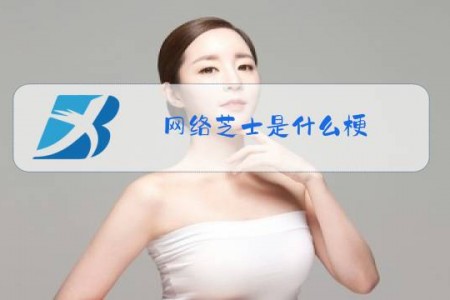 网络芝士是什么梗
