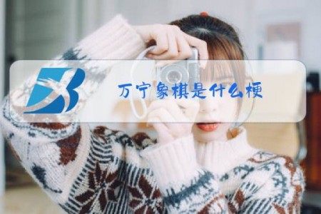 万宁象棋是什么梗