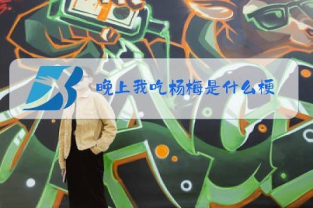 晚上我吃杨梅是什么梗