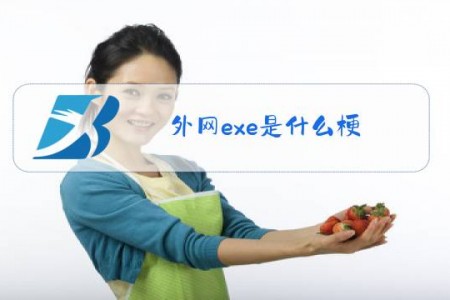 外网exe是什么梗