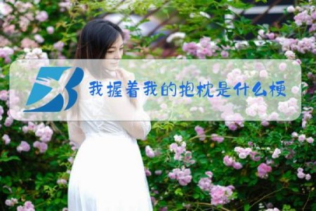 我握着我的抱枕是什么梗