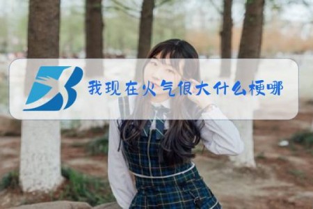 我现在火气很大什么梗哪部电影