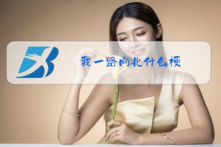 我一路向北什么梗