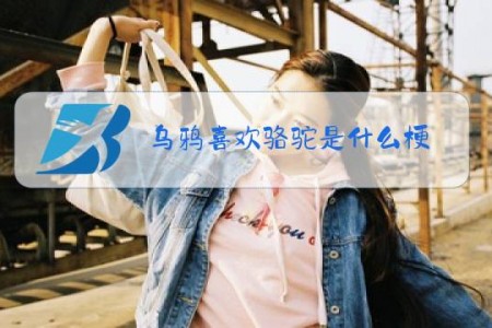 乌鸦喜欢骆驼是什么梗