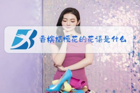 香槟桔梗花的花语是什么意思