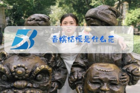 香槟桔梗是什么花