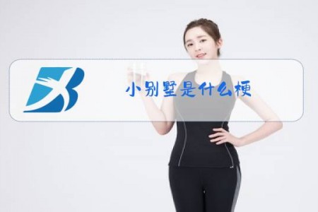 小别墅是什么梗