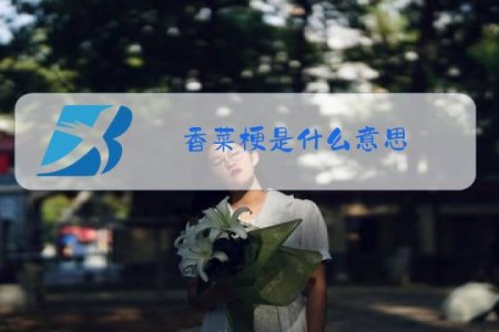 香菜梗是什么意思