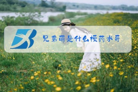 兄弟萌是什么梗药水哥