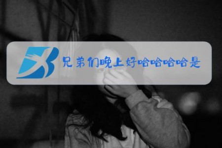 兄弟们晚上好哈哈哈哈是什么梗