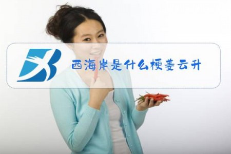 西海岸是什么梗姜云升