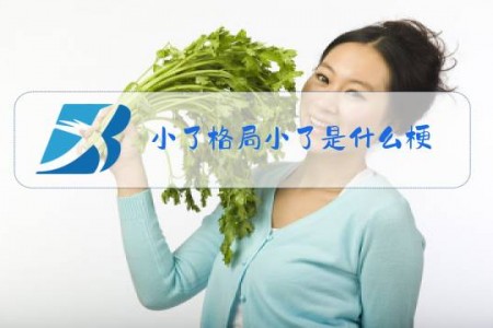 小了格局小了是什么梗