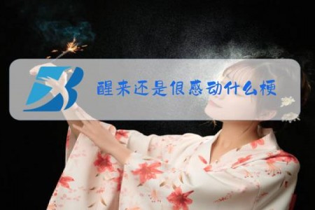 醒来还是很感动什么梗
