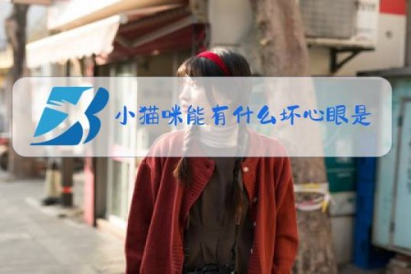 小猫咪能有什么坏心眼是什么梗