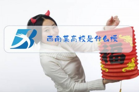 西南某高校是什么梗